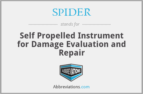 SPIDER - Self Propelled Instrument for Damage Evaluation and Repair