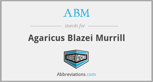 ABM - Agaricus Blazei Murrill