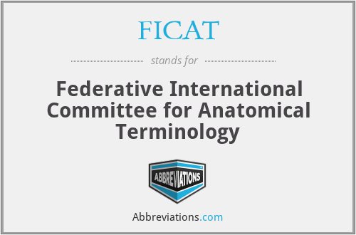 FICAT - Federative International Committee for Anatomical Terminology