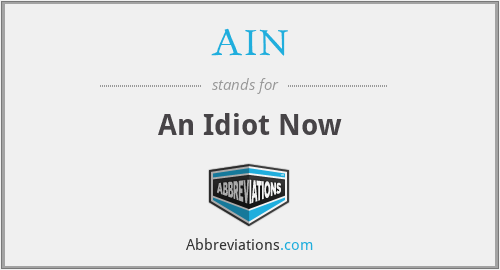 AIN - An Idiot Now
