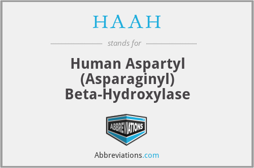 HAAH - Human Aspartyl (Asparaginyl) Beta-Hydroxylase