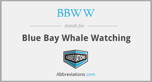 BBWW - Blue Bay Whale Watching