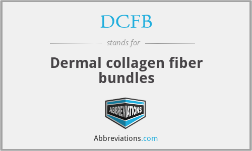 DCFB - Dermal collagen fiber bundles