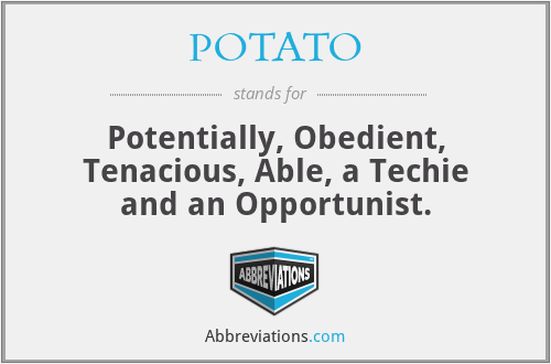 POTATO - Potentially, Obedient, Tenacious, Able, a Techie and an Opportunist.