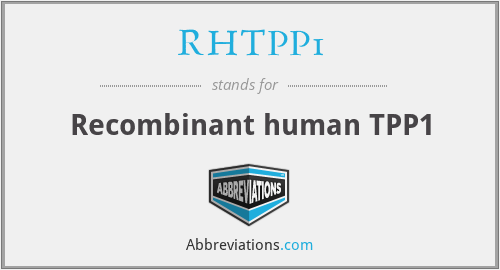 RHTPP1 - Recombinant human TPP1