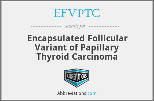 EFVPTC - Encapsulated Follicular Variant of Papillary Thyroid Carcinoma