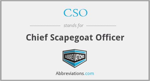 CSO - Chief Scapegoat Officer