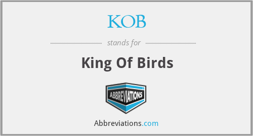 KOB - King Of Birds