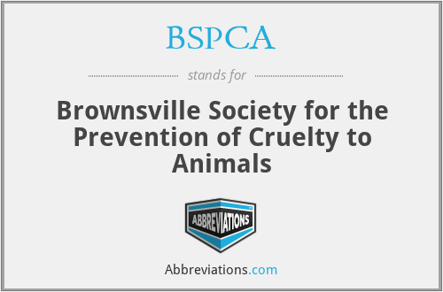 BSPCA - Brownsville Society for the Prevention of Cruelty to Animals