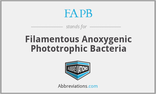 FAPB - Filamentous Anoxygenic Phototrophic Bacteria