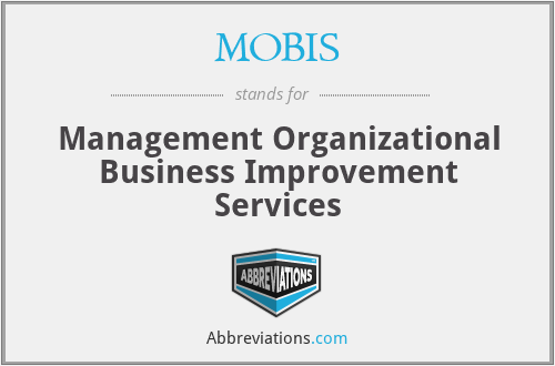MOBIS - Management Organizational Business Improvement Services