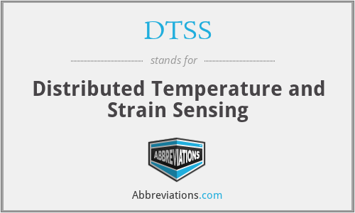 DTSS - Distributed Temperature and Strain Sensing