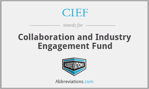 CIEF - Collaboration and Industry Engagement Fund