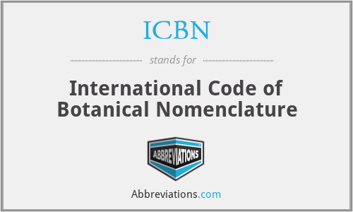 ICBN - International Code of Botanical Nomenclature