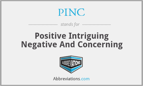 PINC - Positive Intriguing Negative And Concerning