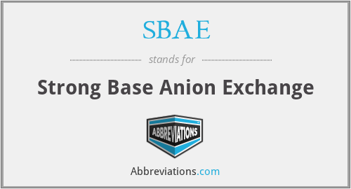 SBAE - Strong Base Anion Exchange
