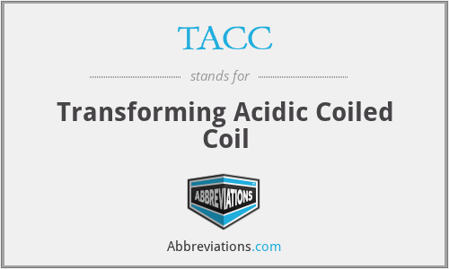 TACC - Transforming Acidic Coiled Coil