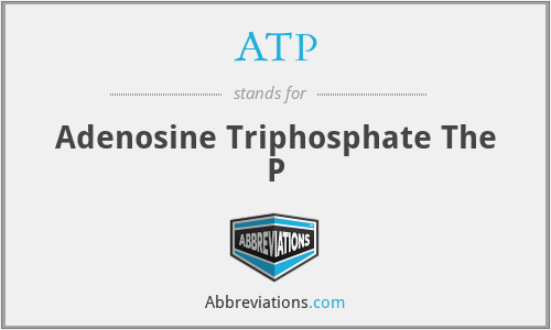 ATP - Adenosine Triphosphate The P