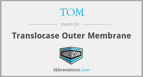 TOM - Translocase Outer Membrane