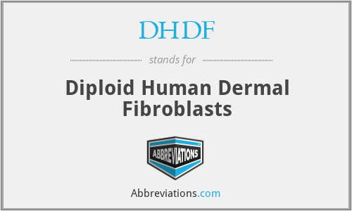 DHDF - Diploid Human Dermal Fibroblasts
