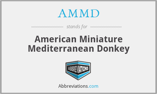 AMMD - American Miniature Mediterranean Donkey