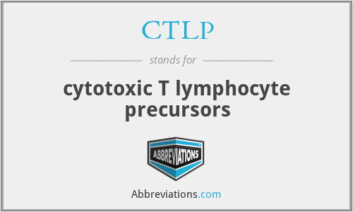 CTLP - cytotoxic T lymphocyte precursors