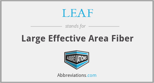 LEAF - Large Effective Area Fiber