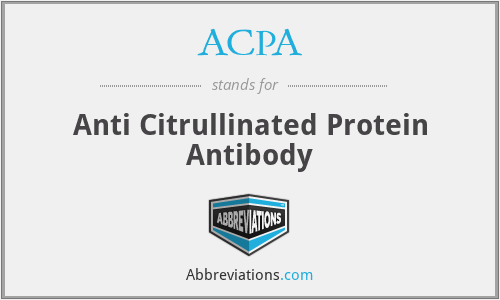 ACPA - Anti Citrullinated Protein Antibody