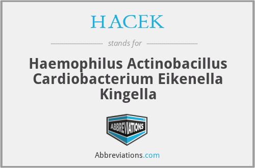 HACEK - Haemophilus Actinobacillus Cardiobacterium Eikenella Kingella
