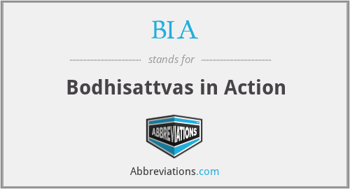 BIA - Bodhisattvas in Action