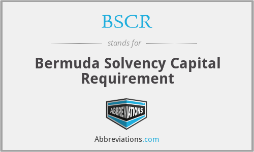 BSCR - Bermuda Solvency Capital Requirement