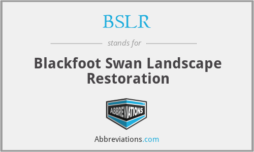 BSLR - Blackfoot Swan Landscape Restoration