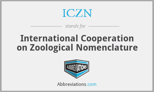 ICZN - International Cooperation on Zoological Nomenclature