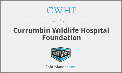 CWHF - Currumbin Wildlife Hospital Foundation