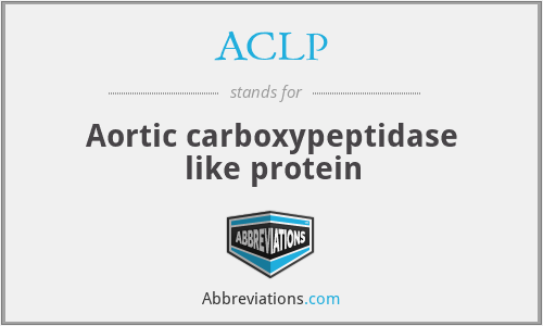ACLP - Aortic carboxypeptidase like protein