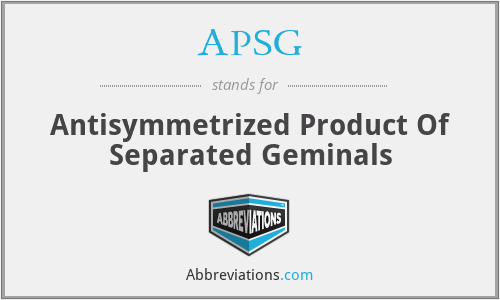 APSG - Antisymmetrized Product Of Separated Geminals