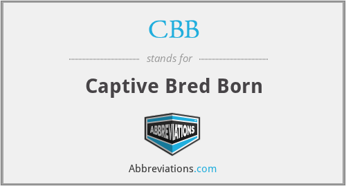 CBB - Captive Bred Born