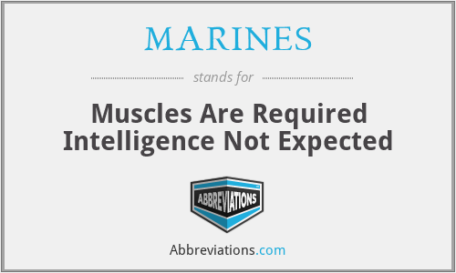 MARINES - Muscles Are Required Intelligence Not Expected