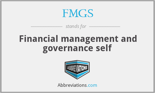 FMGS - Financial management and governance self