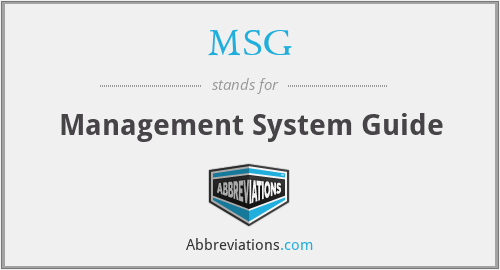 MSG - Management System Guide
