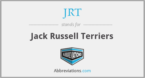 JRT - Jack Russell Terriers