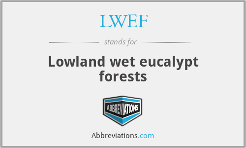 LWEF - Lowland wet eucalypt forests
