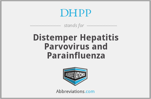 DHPP - Distemper Hepatitis Parvovirus and Parainfluenza