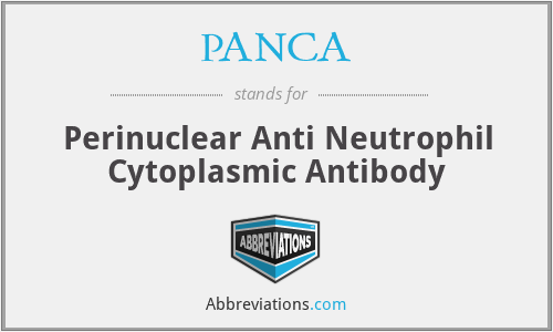 PANCA - Perinuclear Anti Neutrophil Cytoplasmic Antibody