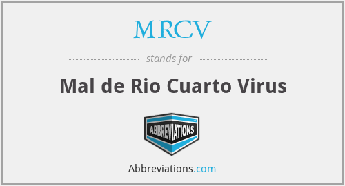 MRCV - Mal de Rio Cuarto Virus