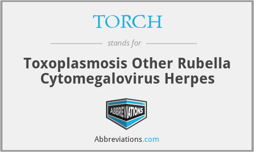 TORCH - Toxoplasmosis Other Rubella Cytomegalovirus Herpes