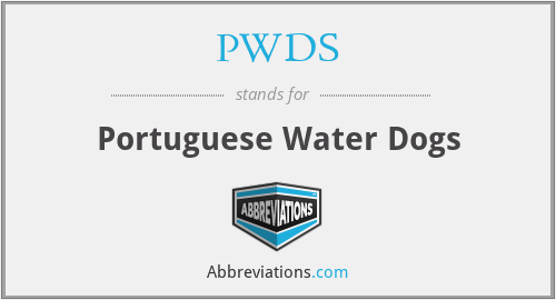 PWDS - Portuguese Water Dogs