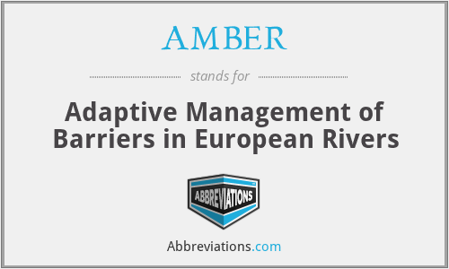AMBER - Adaptive Management of Barriers in European Rivers