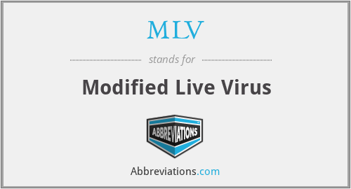 MLV - Modified Live Virus