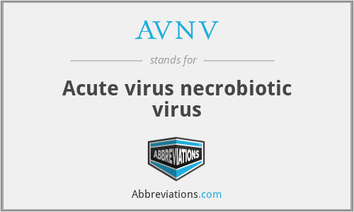 AVNV - Acute virus necrobiotic virus